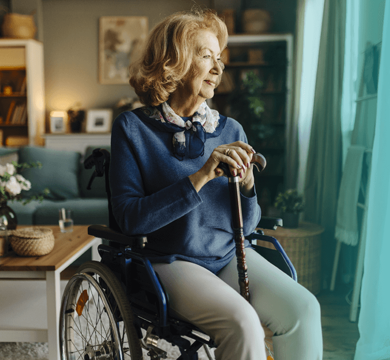 Dissecting Underling Mechanisms of Aging