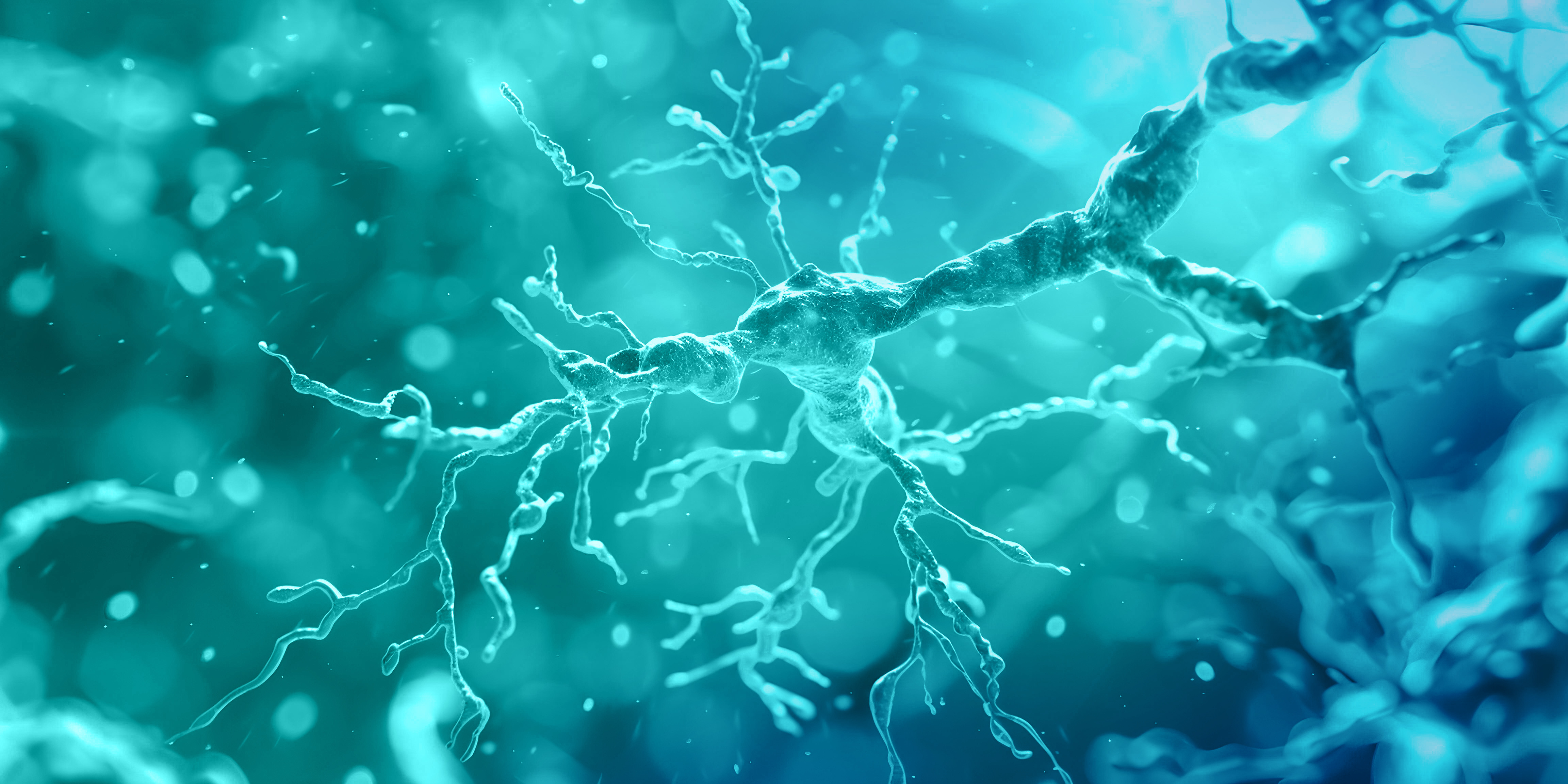 Demyelination of Neurons in Demyelinating Diseases Impact of Mye